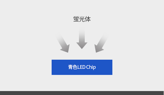 blue chip